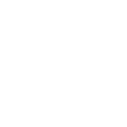 VIP門票